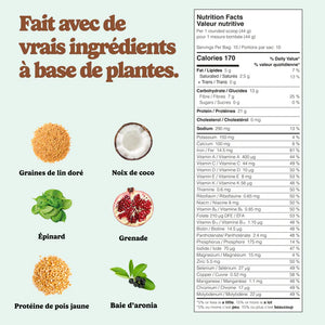 Boisson tout-en-un - Menthe et pépites de chocolat
